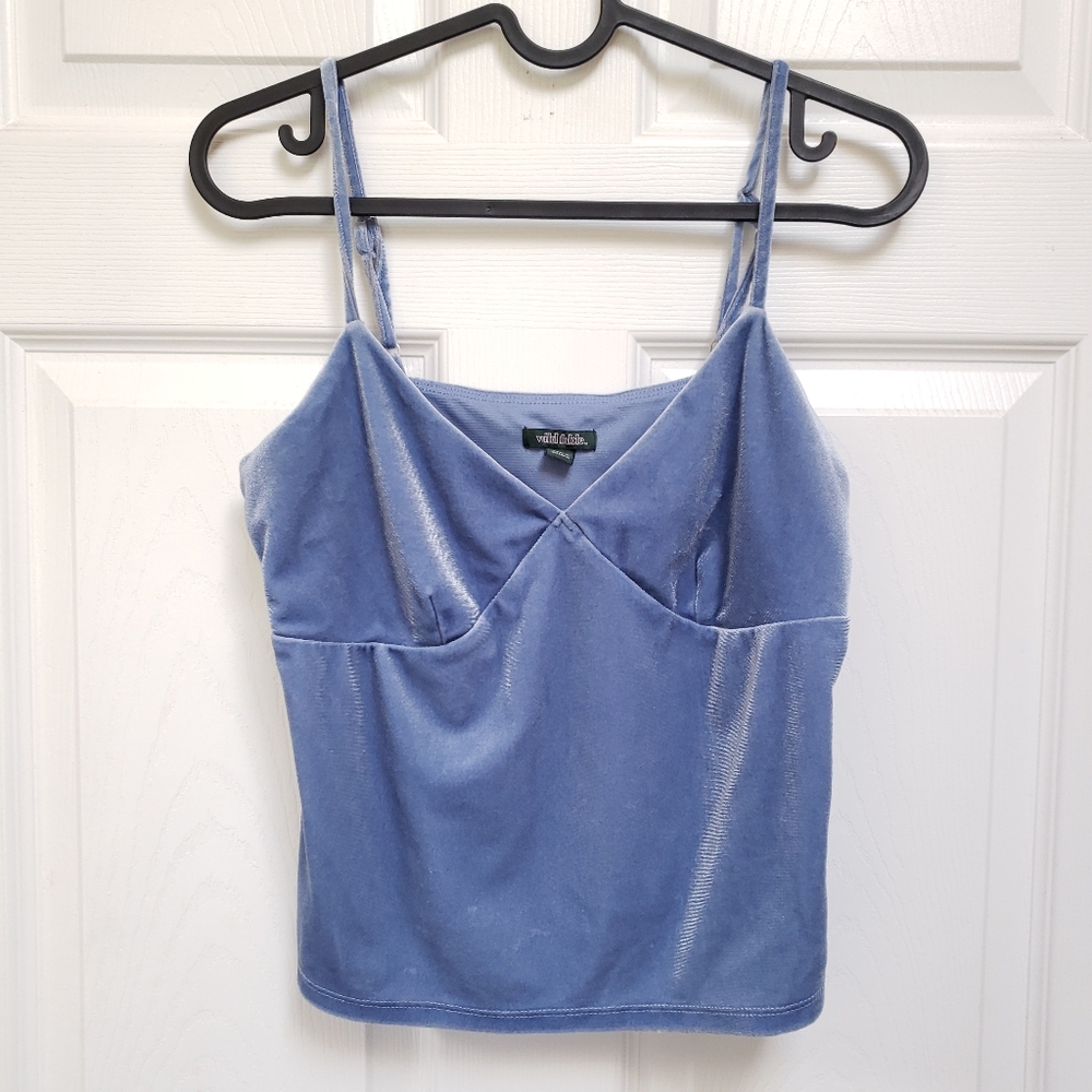 Wild Fable Blue Velvet Spaghetti Strap V-Neck Cropped Top
